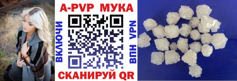 APVP СК  закладка  Королёв 