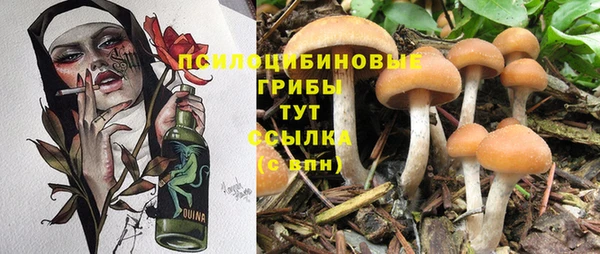 ALPHA-PVP Новокубанск