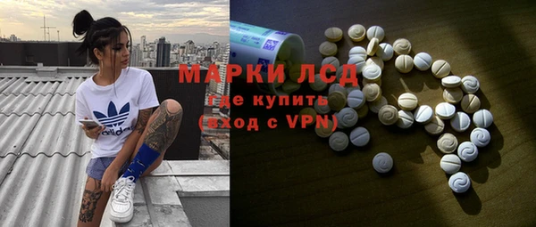 spice Новодвинск