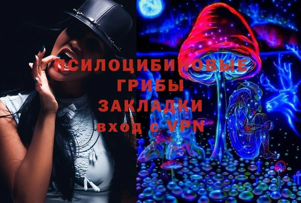 метадон Новозыбков